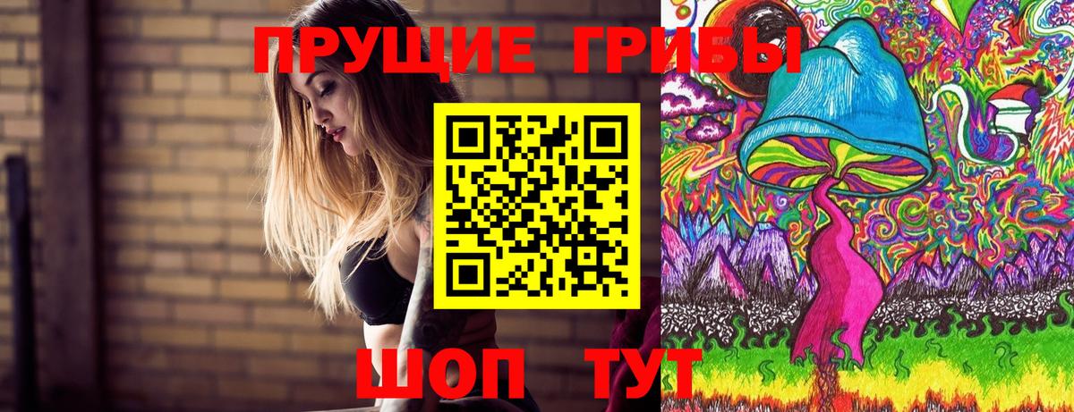 Кудрово  Псилоцибиновые грибы Psilocybe  Вход с VPN 
